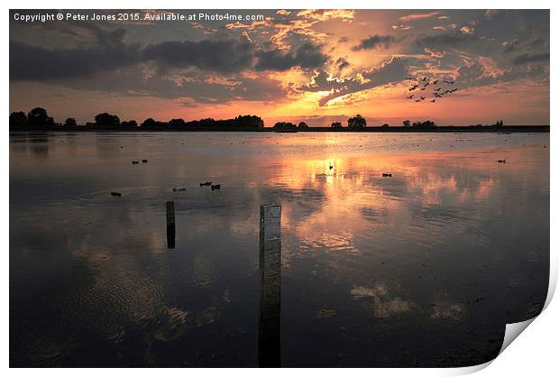 Sunset over Startops End Reservoir  Print by Peter Jones