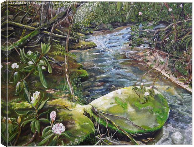  Beyond the Rock - Mountaintown Creek - Ellijay, G Canvas Print by Jan Dappen