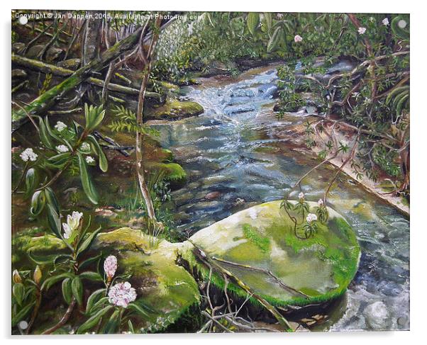  Beyond the Rock - Mountaintown Creek - Ellijay, G Acrylic by Jan Dappen