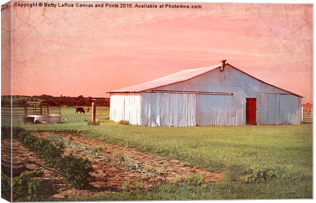  The Red Door Canvas Print by Betty LaRue