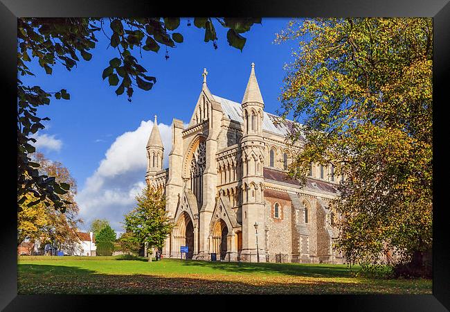  St Albans Abbey amongst autumnal trees Framed Print by Ian Duffield