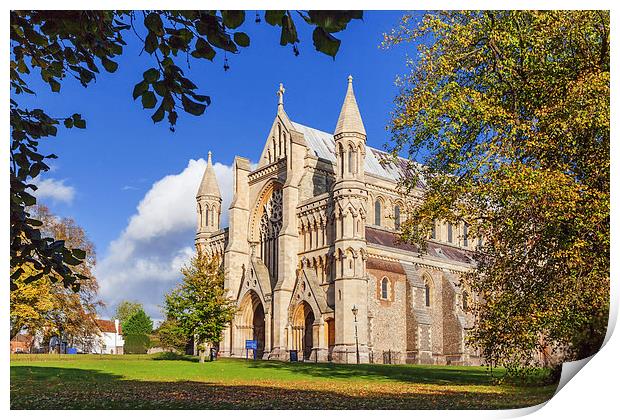  St Albans Abbey amongst autumnal trees Print by Ian Duffield