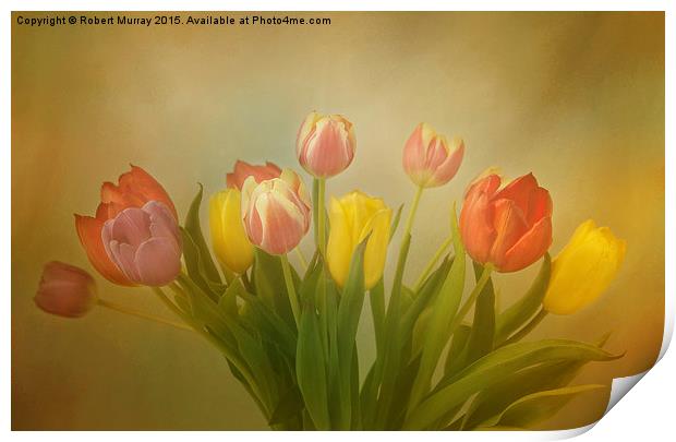  The Joy of Tulips Print by Robert Murray