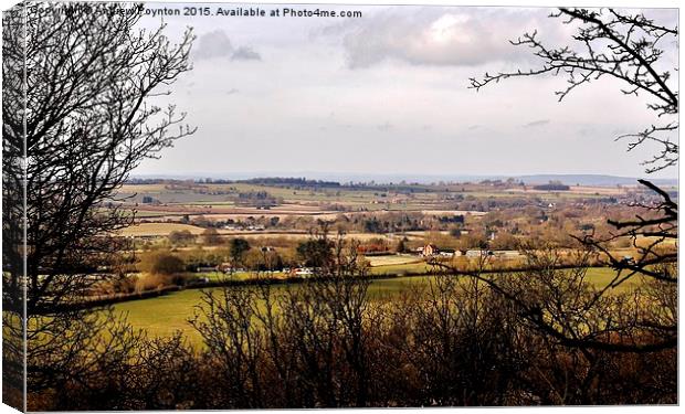  Wombourne view Canvas Print by Andrew Poynton