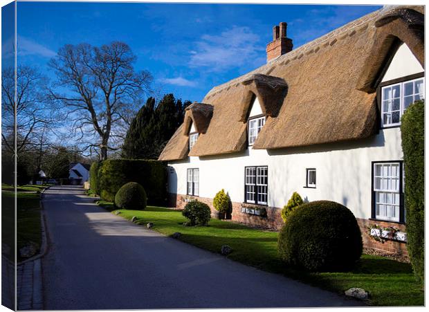 Charming Thatched Cottage in North East Lincs Canvas Print by P D