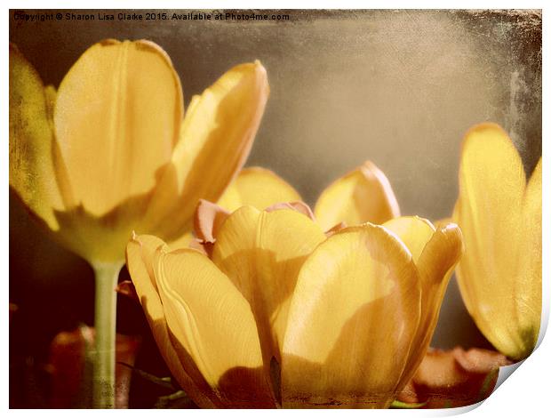  Rustic Tulips Print by Sharon Lisa Clarke
