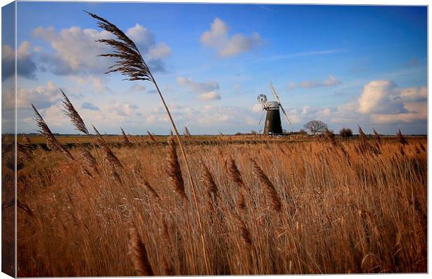  Mutton's Mill, Norfolk Canvas Print by Broadland Photography