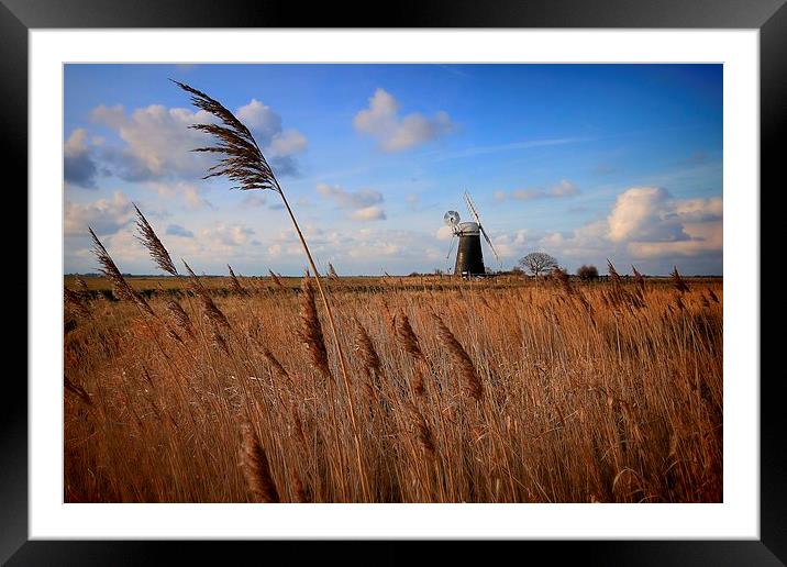  Mutton's Mill, Norfolk Framed Mounted Print by Broadland Photography