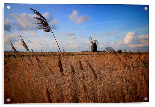  Mutton's Mill, Norfolk Acrylic by Broadland Photography