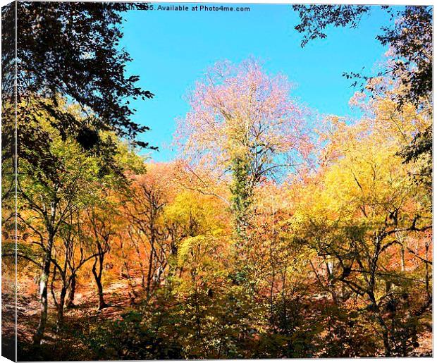 The glory of Autumn in jungle, Canvas Print by Ali asghar Mazinanian