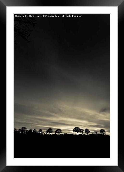 Silhouetted Trees Framed Mounted Print by Gary Turner