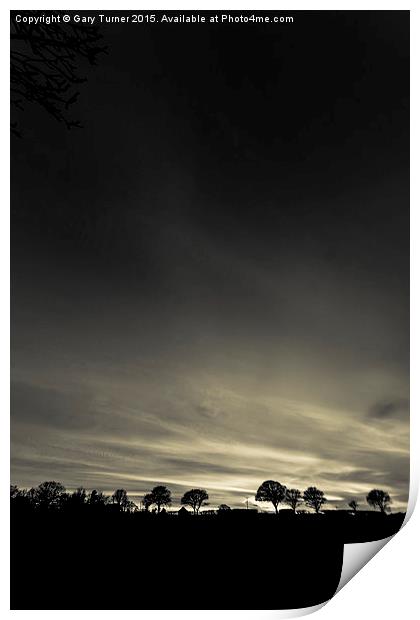 Silhouetted Trees Print by Gary Turner