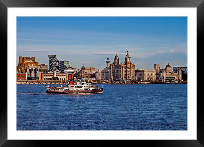 Royal Iris on the Mersey Framed Mounted Print by Roger Green