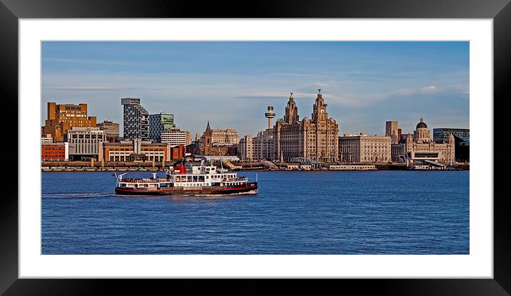 Royal Iris on the Mersey Framed Mounted Print by Roger Green