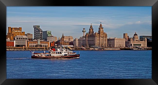 Royal Iris on the Mersey Framed Print by Roger Green