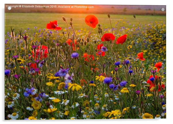  Wild Flowers in a July Sunset. Acrylic by Elizabeth Debenham