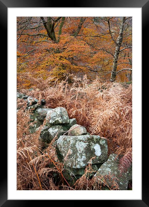  Autumn in the Goyt Valley Framed Mounted Print by Andrew Kearton