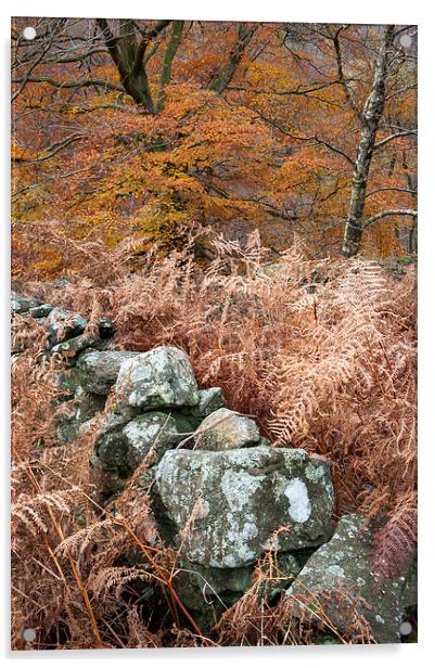  Autumn in the Goyt Valley Acrylic by Andrew Kearton