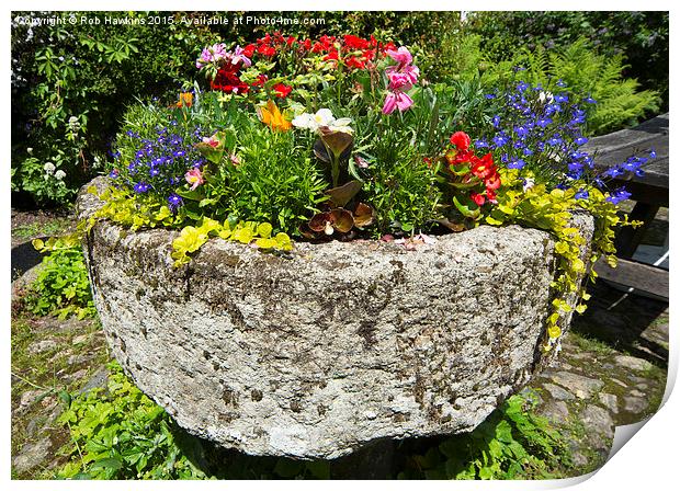  Spring flowers in the trough  Print by Rob Hawkins