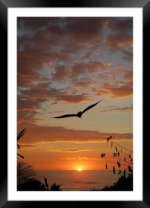 Into the Sunset Framed Mounted Print by james balzano, jr.