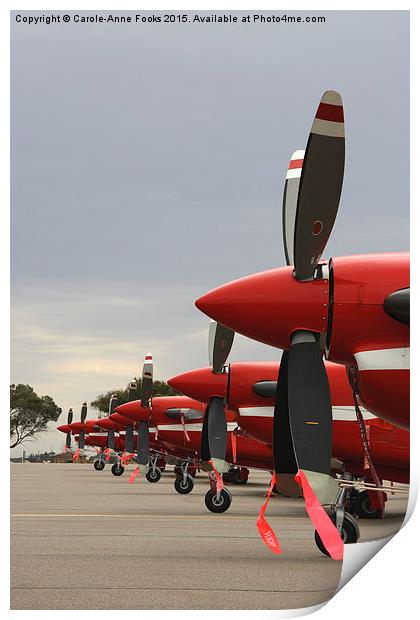   The Roulettes on the Ground Print by Carole-Anne Fooks