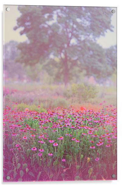  Monet Spring  Acrylic by Jenny Rainbow