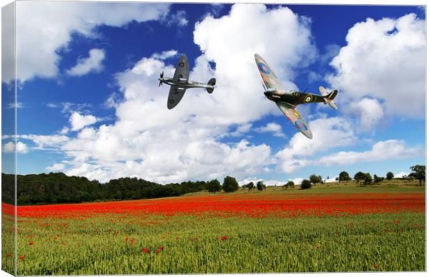 Spitfire Poppy Fly Past  Canvas Print by J Biggadike