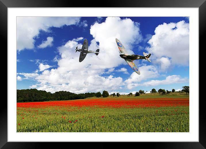 Spitfire Poppy Fly Past  Framed Mounted Print by J Biggadike