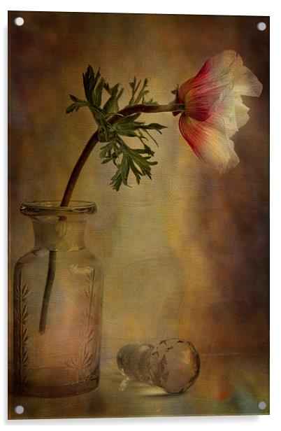  Anemone  Acrylic by Eddie John