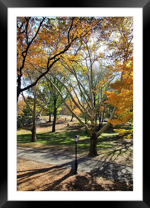 Central Park Framed Mounted Print by Matthew Bates