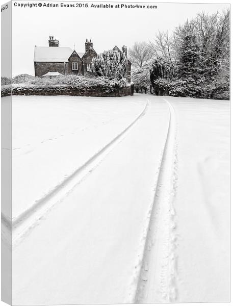 Simply Winter Canvas Print by Adrian Evans