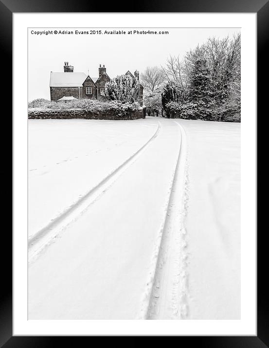 Simply Winter Framed Mounted Print by Adrian Evans