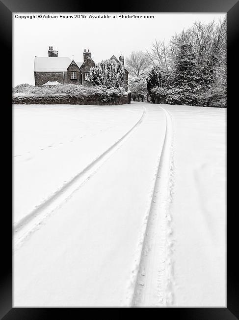 Simply Winter Framed Print by Adrian Evans