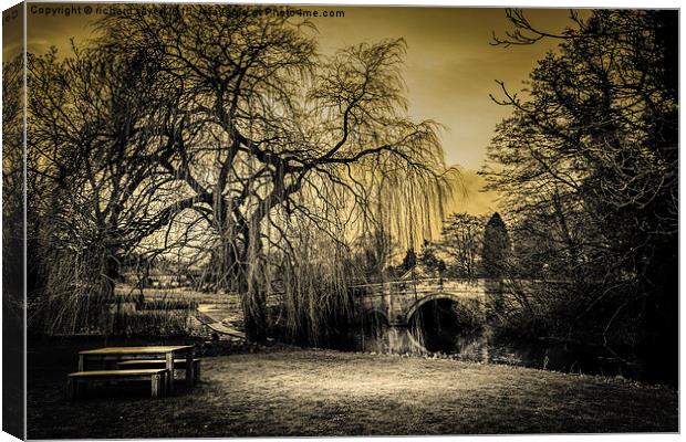  Tranquility Canvas Print by richard sayer