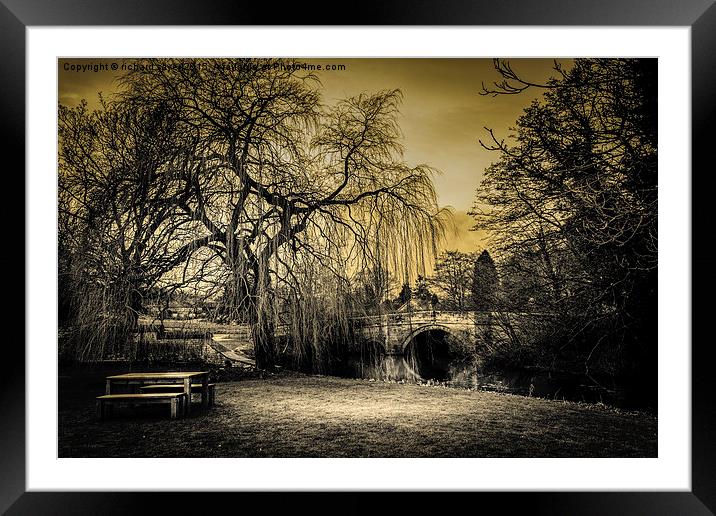  Tranquility Framed Mounted Print by richard sayer