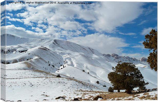 Winter beauty on mountain , Canvas Print by Ali asghar Mazinanian
