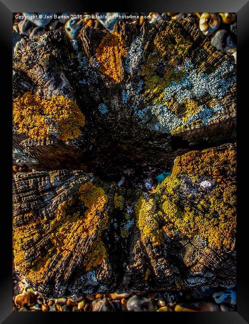  Lichen  Framed Print by Jon Barton