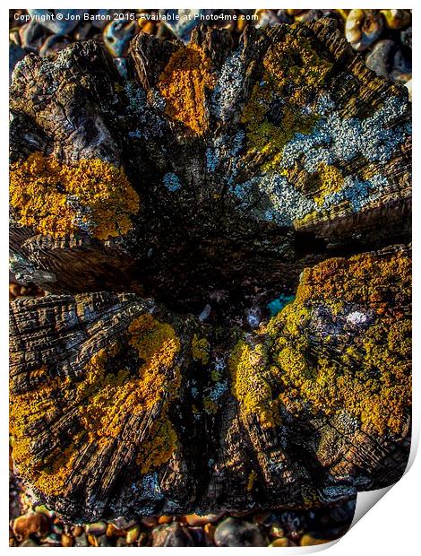  Lichen  Print by Jon Barton