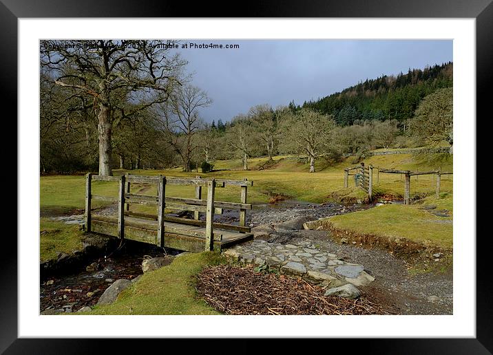  Betws-y-Coed Wales Framed Mounted Print by Diana Mower
