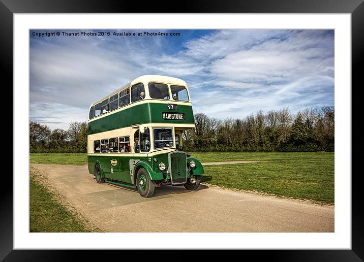  1947 Leyland PD1 Framed Mounted Print by Thanet Photos