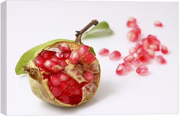 Pomegranate Canvas Print by PhotoStock Israel