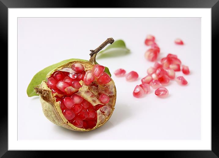 Pomegranate Framed Mounted Print by PhotoStock Israel