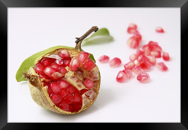 Pomegranate Framed Print by PhotoStock Israel