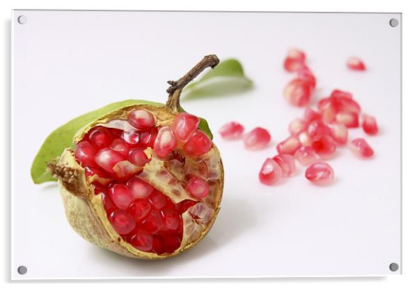 Pomegranate Acrylic by PhotoStock Israel
