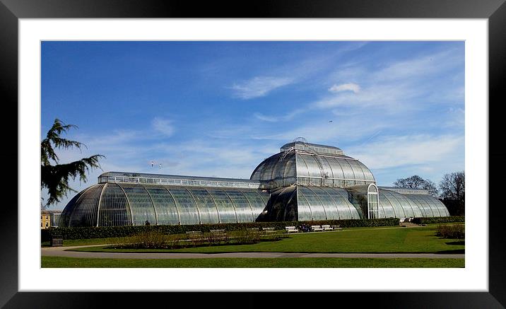 Kew'Palm House Framed Mounted Print by David French