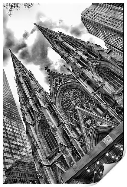 St Patricks Cathedral in Black and White Print by Simon Gladwin