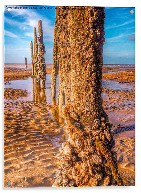  Mussel beach Acrylic by Jon Barton