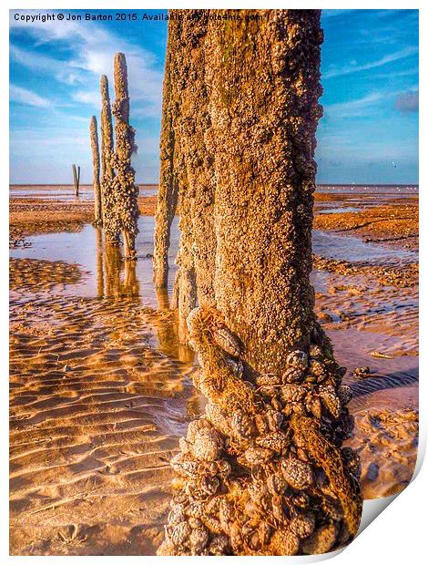 Mussel beach Print by Jon Barton