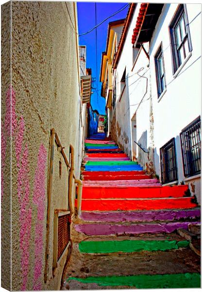 multi colored steps in a Turkish village Canvas Print by ken biggs