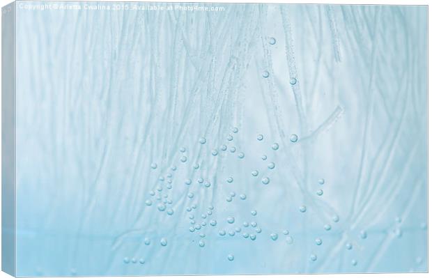 Blue water air bubbles closeup Canvas Print by Arletta Cwalina